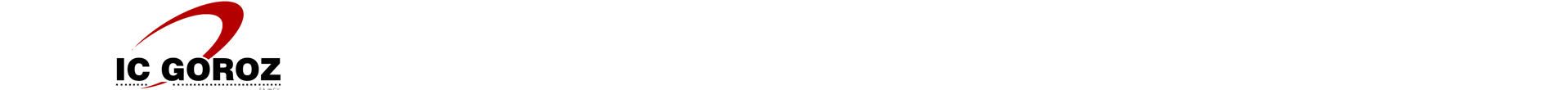 logo-icg-03-1